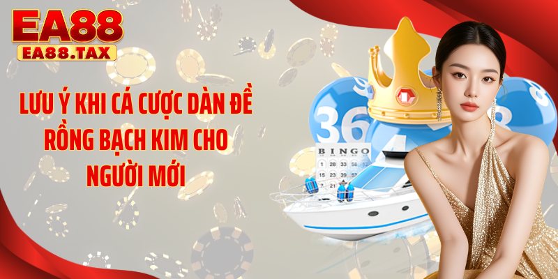Lưu ý khi cá cược dàn đề rồng bạch kim cho người mới