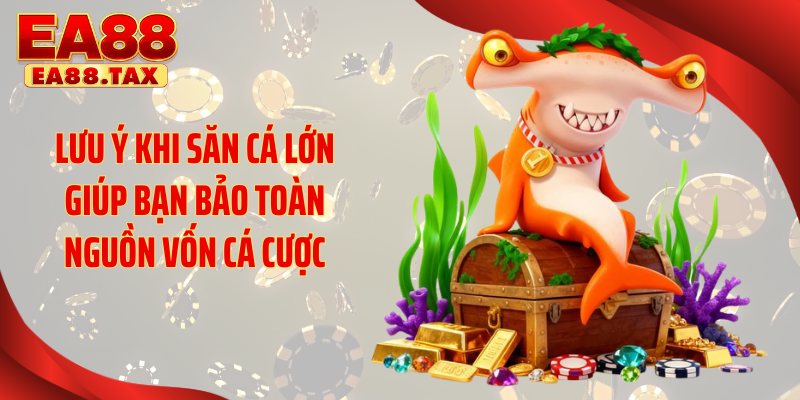 Lưu ý khi săn cá lớn giúp bạn bảo toàn nguồn vốn cá cược