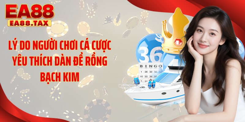 Lý do người chơi cá cược yêu thích dàn đề rồng bạch kim