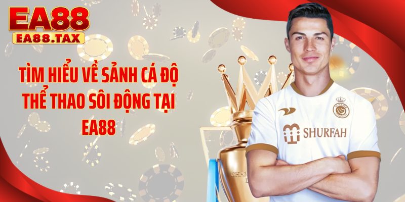 Tìm hiểu về sảnh cá độ thể thao sôi động tại EA88